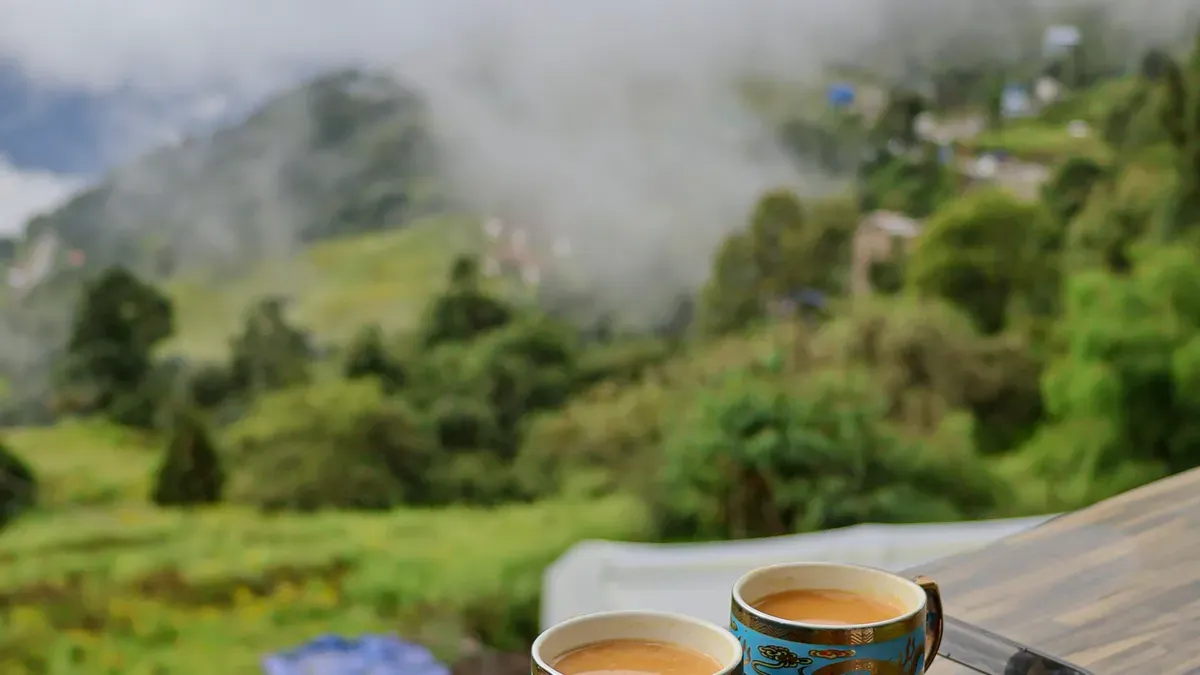 Regional Tea Profiles by Altitude